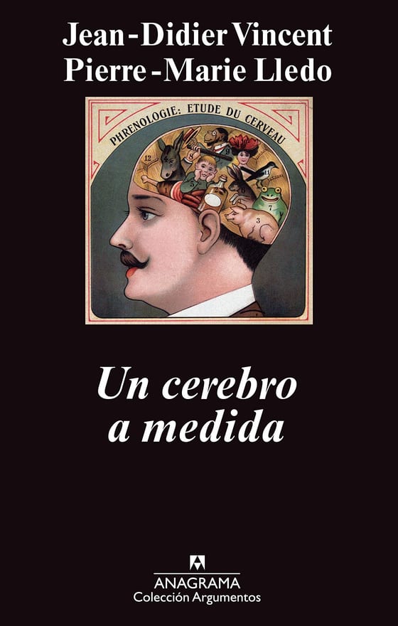 Coberta de Un cerebro a medida, de Pierre Marie Lledo y Jean Didier Vincent