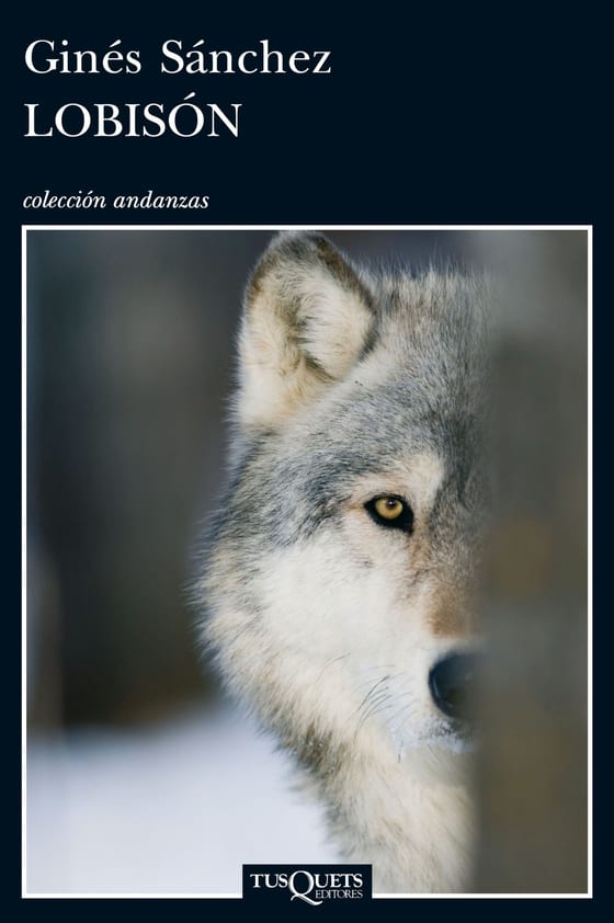 Portada de Lobisón, de Ginés Sánchez