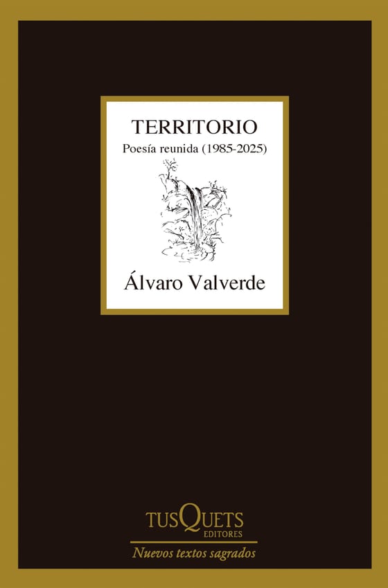Portada de Territorio. Poesía reunida (1985-2025), de Álvaro Valverde