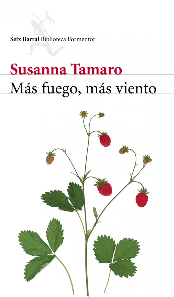 Portada de Más fuego, más viento, de Susanna Tamaro