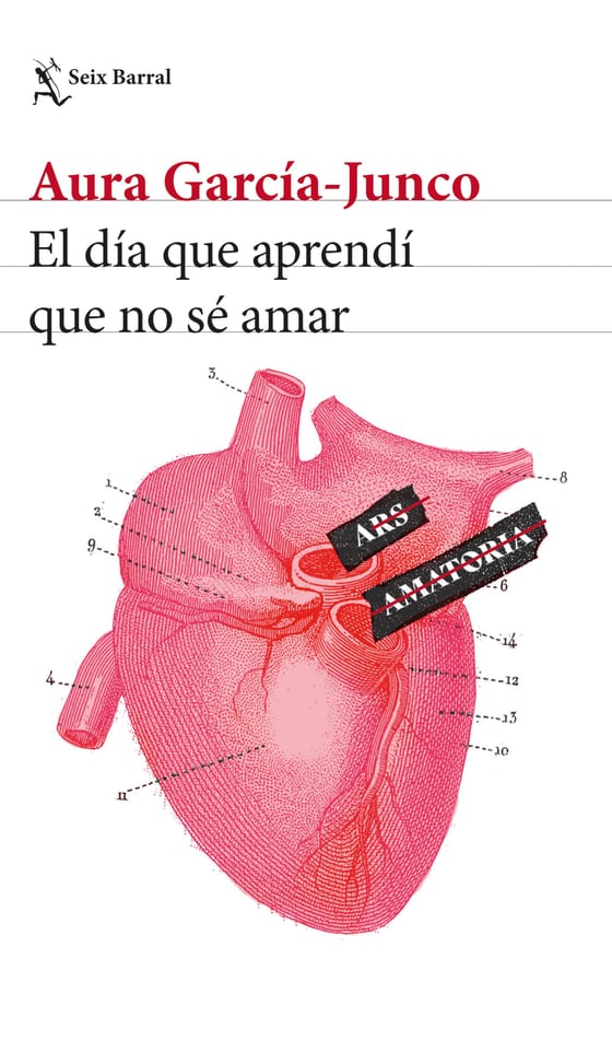 Portada de El día que aprendí que no sé amar, de Aura García-Junco
