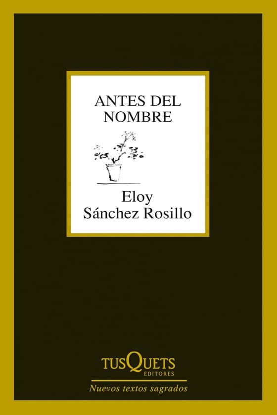 Coberta de Antes del nombre, d'Eloy Sánchez Rosillo