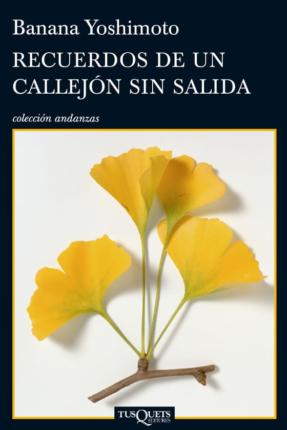 Portada de Recuerdos de un callejón sin salida, de Banana Yoshimoto