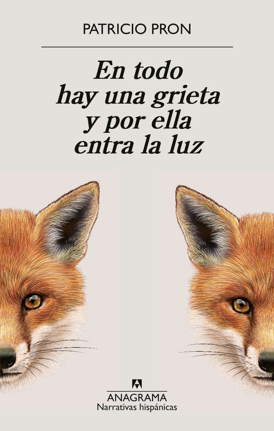 Coberta de En todo hay una grieta y por ella entra la luz, de Patricio Pron