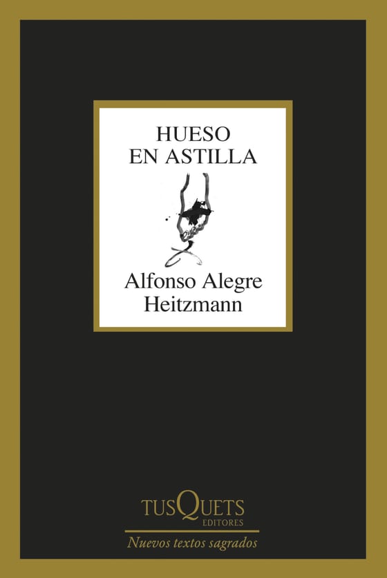Portada de Hueso en astilla, de Alfonso Alegre Heitzmann