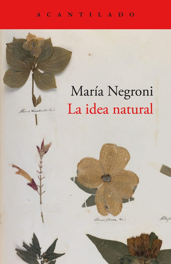 Coberta de La idea natural, de María Negroni