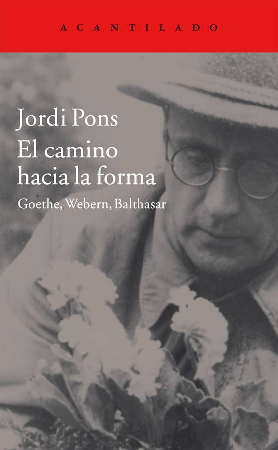 Coberta de El camino hacia la forma, de Jordi Pons