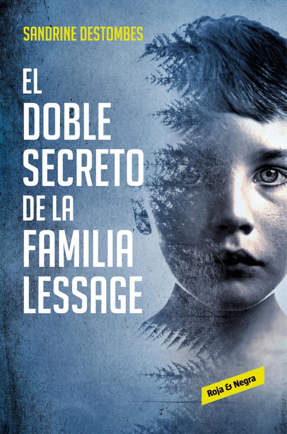 Portada de El doble secreto de la familia Lessage, de Sandrine Destombes