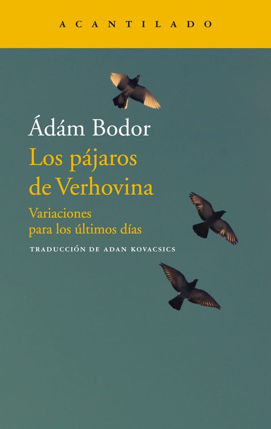 Coberta de Los pájaros de Verhovina, de Ádám Bodor