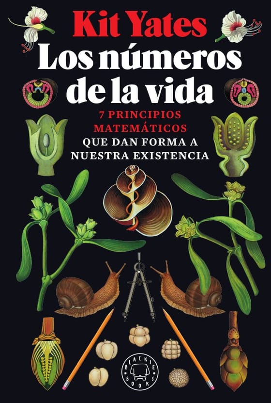 Coberta de Los números de la vida, de Kit Yates