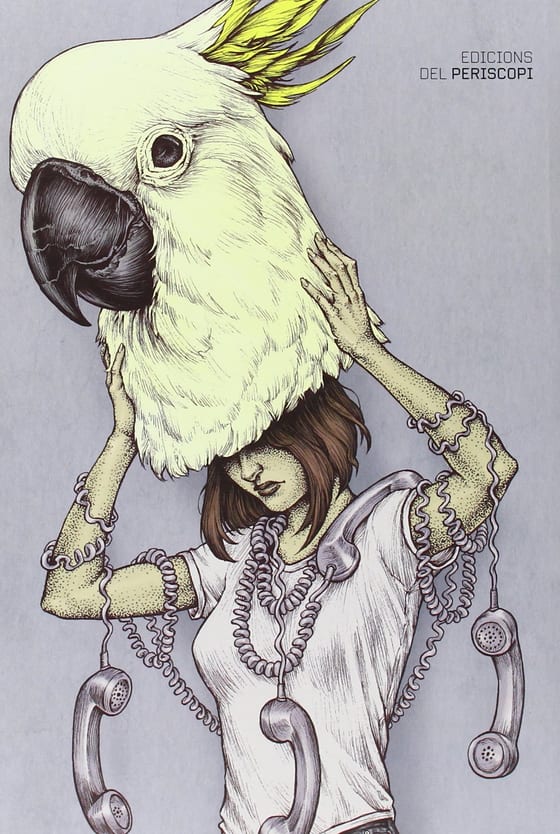 Portada de L'escombra del sistema, de David Foster Wallace