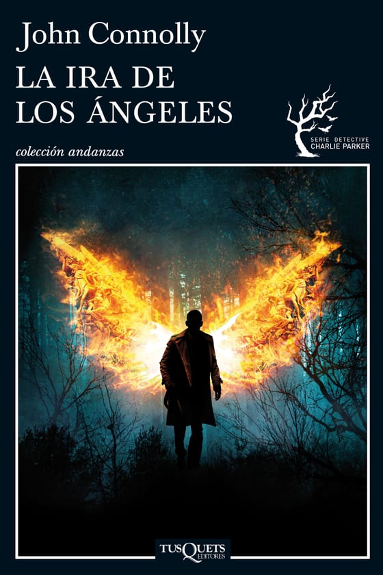 Coberta de La ira de los ángeles, de John Connolly