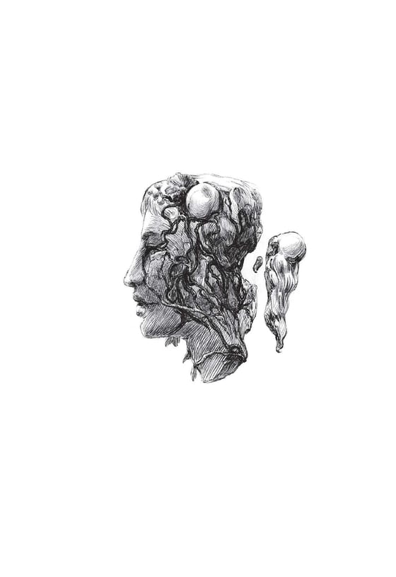 Coberta de La hija de Rappaccini, de Nathaniel Hawthorne