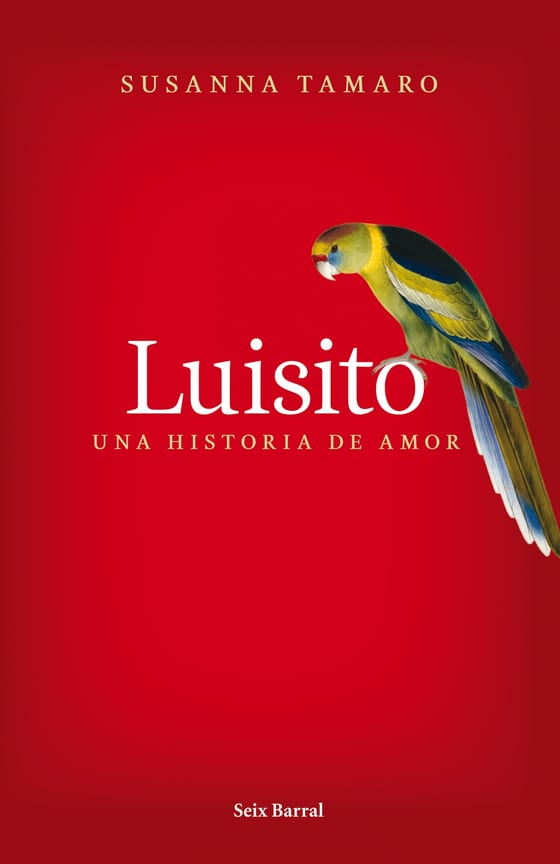Portada de Luisito. Una historia de amor, de Susanna Tamaro
