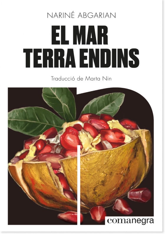 Coberta de El mar terra endins, de Nariné Abgarian