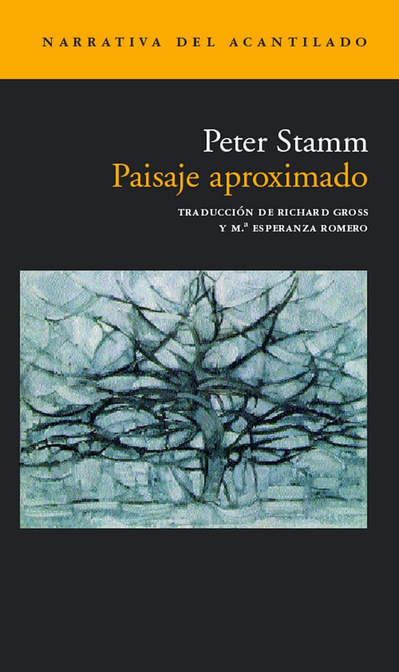 Coberta de Paisaje aproximado, de Peter Stamm