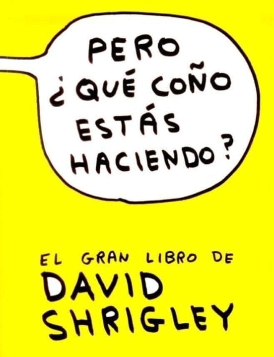 Coberta de Pero ¿qué coño estás haciendo?, de David Shrigley