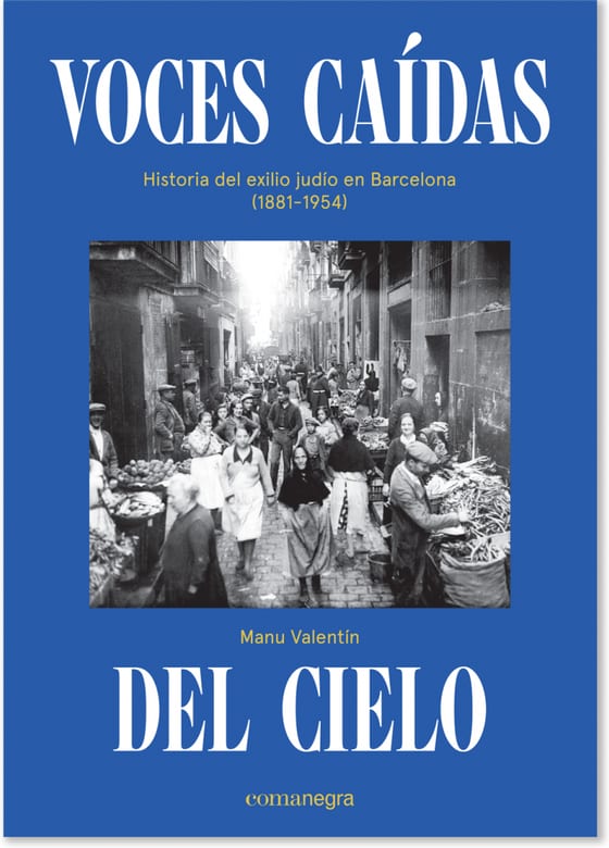 Coberta de Voces caídas del cielo, de Manu Valentín
