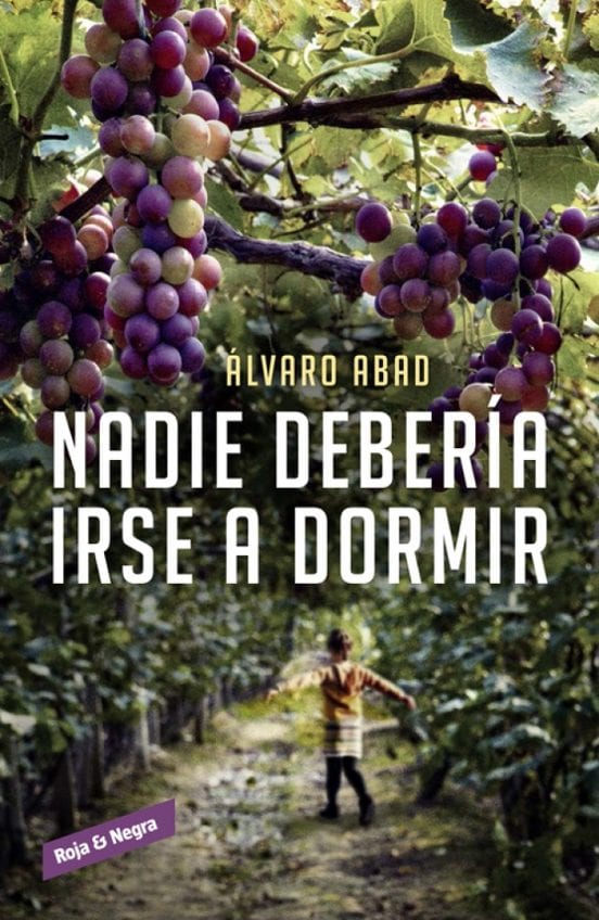 Portada de Nadie debería irse a dormir, de Álvaro Abad